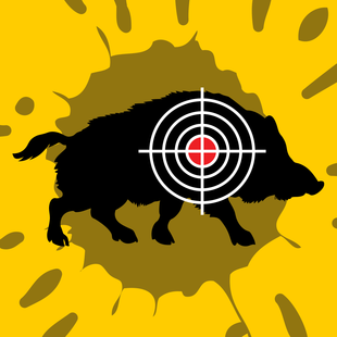 Hog Hunting