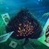 World Of Solitaire