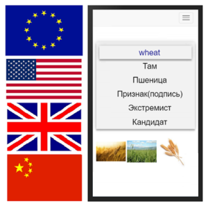 Vocabulary Expander (desktop version)