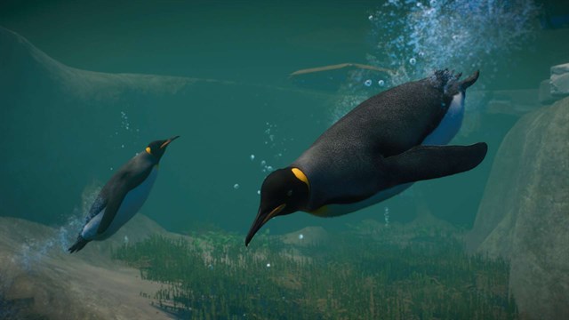 Planet Zoo: Aquatic & Twilight Bundle screenshot 3