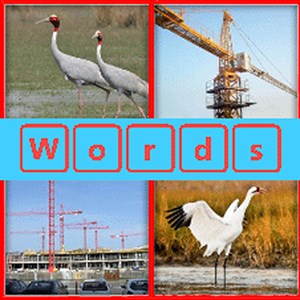 4 Pics 1 word 2016