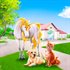 Animal Hospital