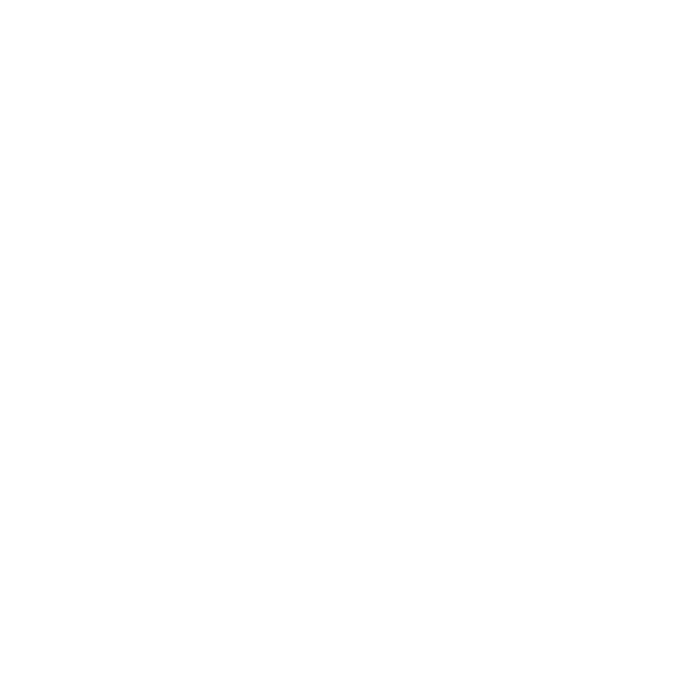 有道词典
