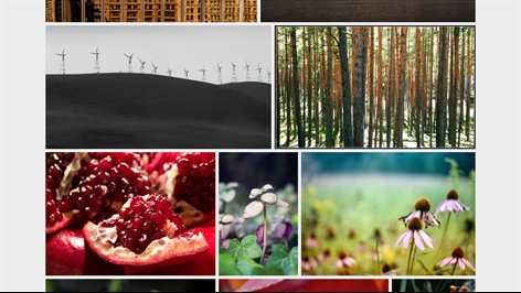 Microsoft Photos Screenshot