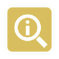Salesforce inspector
