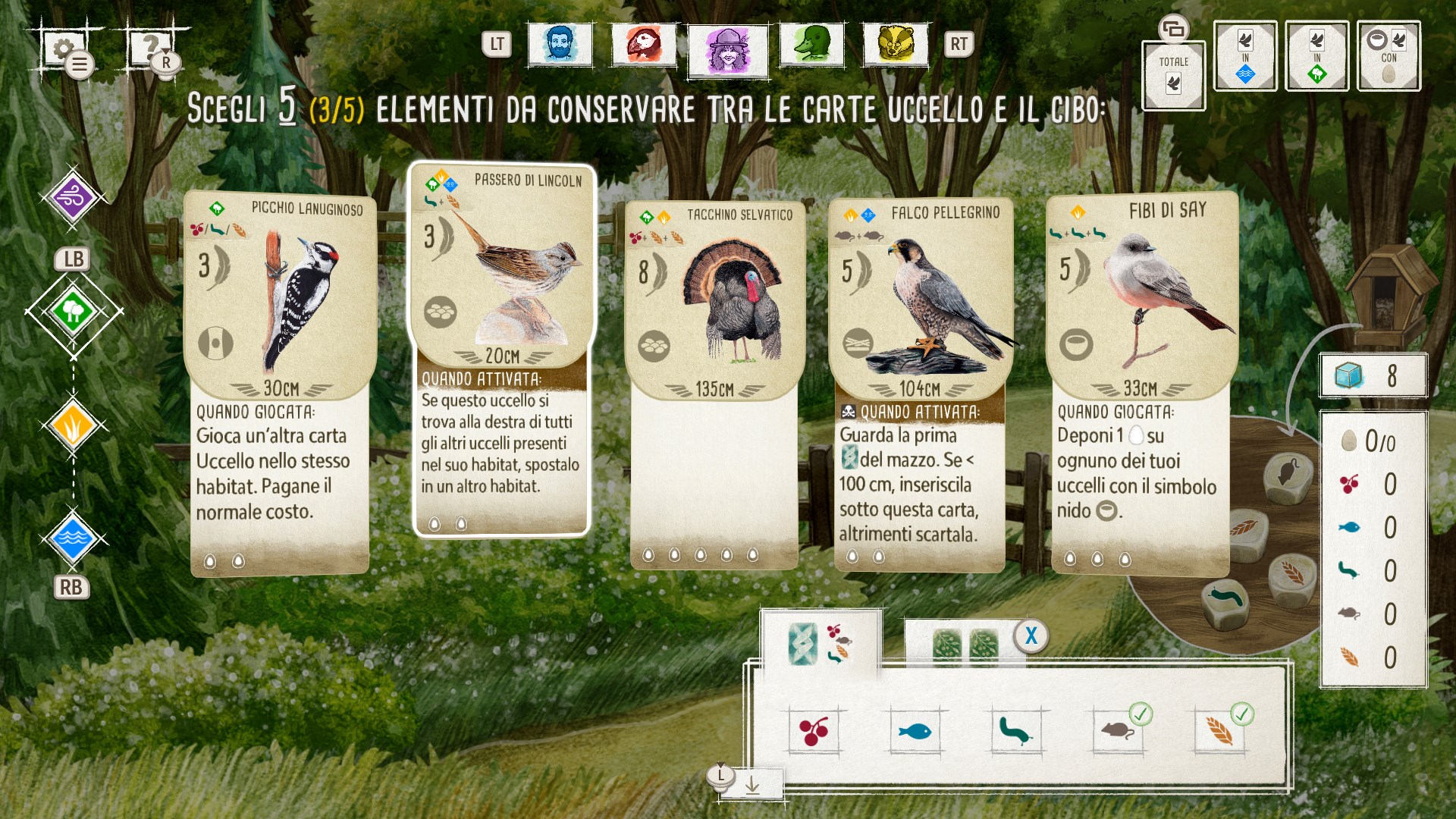 Birds and Cats | Xbox | Chiave | Privato