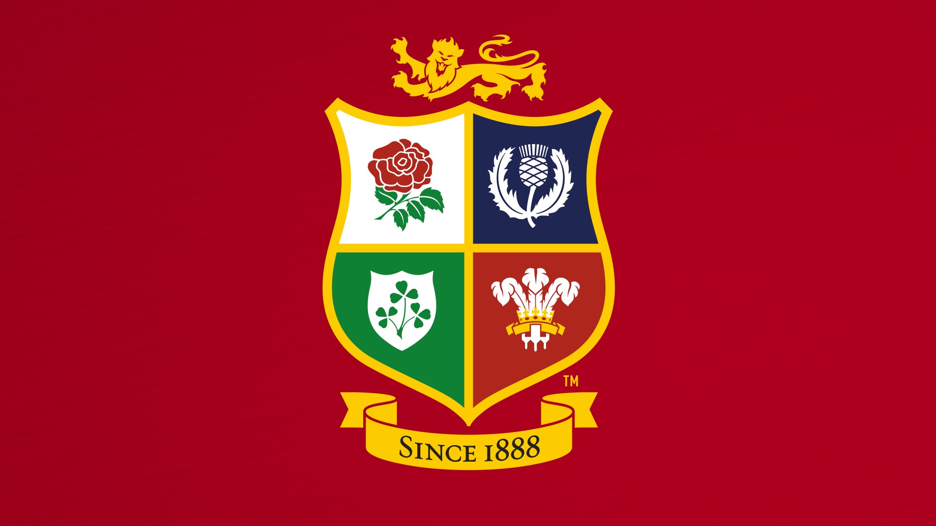 british lions rugby jersey 2017