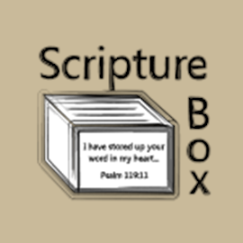 Scripture Box