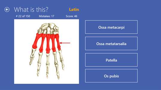 Anatomy Quiz screenshot 7