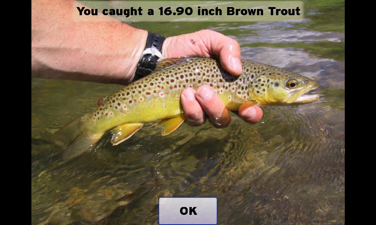 #6. Fly Fishing Simulator Premium (Windows) By: Pishtech LLC