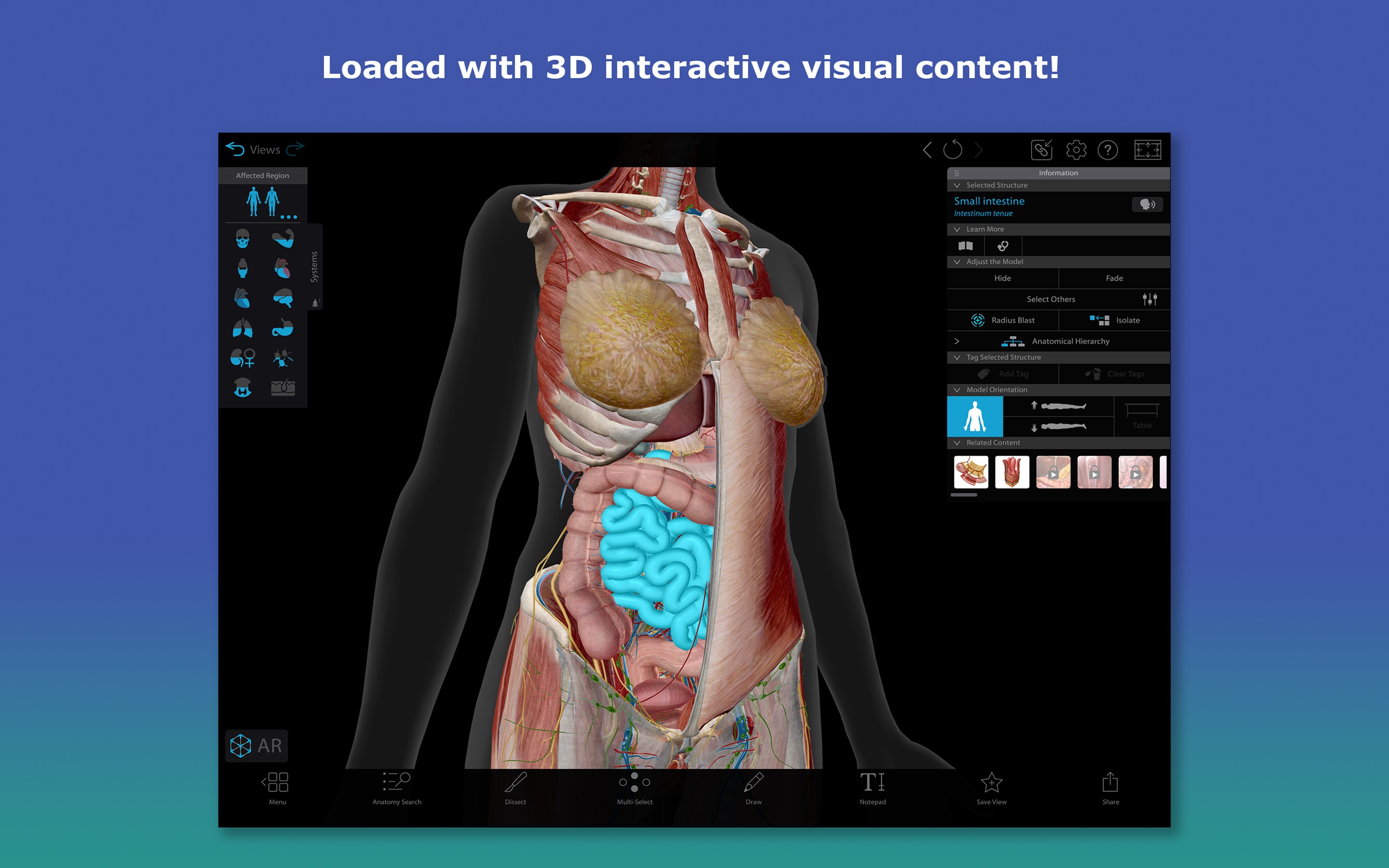 Human Anatomy Atlas 2026: Complete 3D Human Body – Ladda ned och installera  på Windows | Microsoft Store