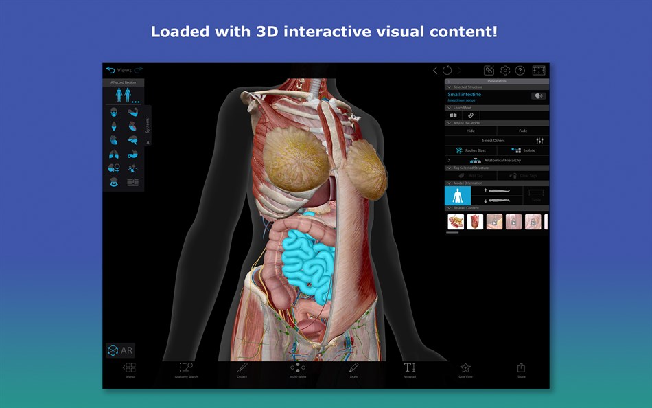 Human Anatomy Atlas 2026: Complete 3D Human Body (Windows) — Price ...