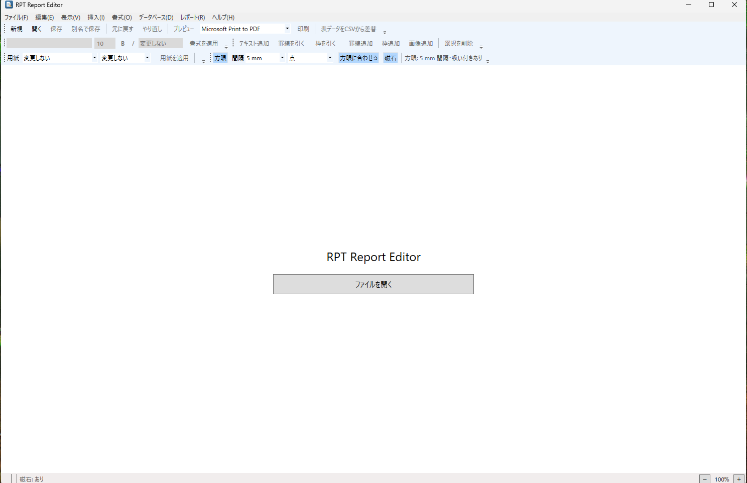 RPT Report Editor screenshot