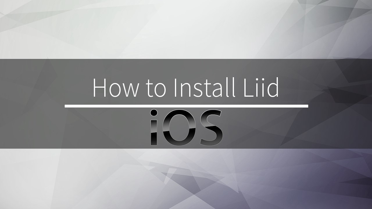 Snapshot 3 of LiiD for Dynamics CRM