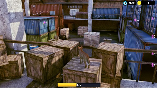 Little Strays: Havana screenshot