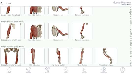 Muscle Premium: 3D Visual Guide for Bones, Joints & Muscles — Human Anatomy & Kinesiology screenshot 6