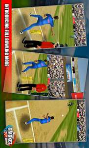 Cricket Play 3D screenshot 4