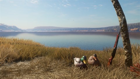 theHunter: Call of the Wild™ - Duck and Cover Pack - Windows 10