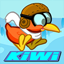 Kiwi Adventure Game