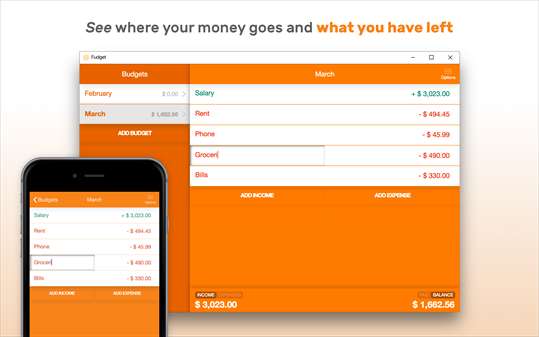 Fudget: budget planner & personal finance tracker screenshot 3