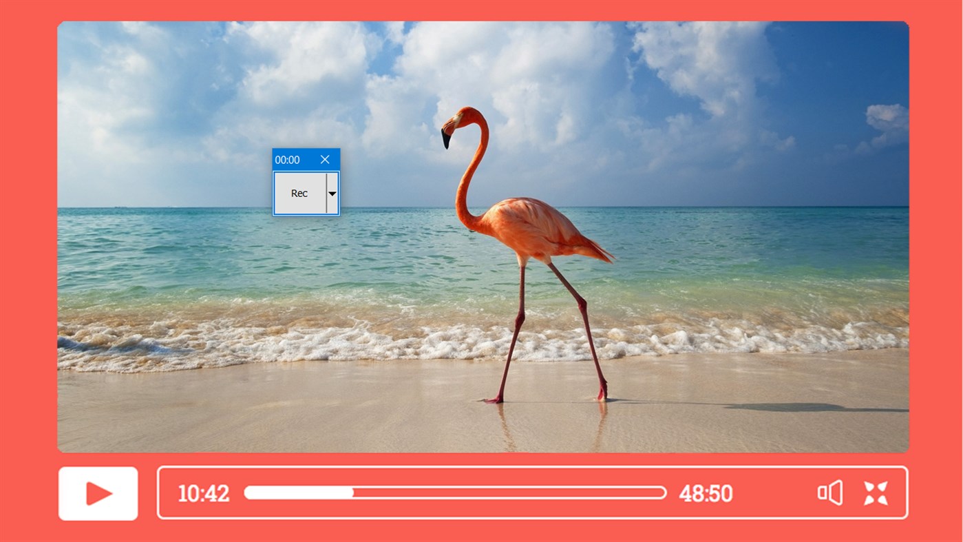 #1. RecButton (Windows) От: BahraniApps