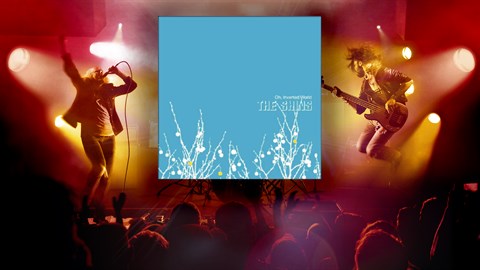 "New Slang" - The Shins