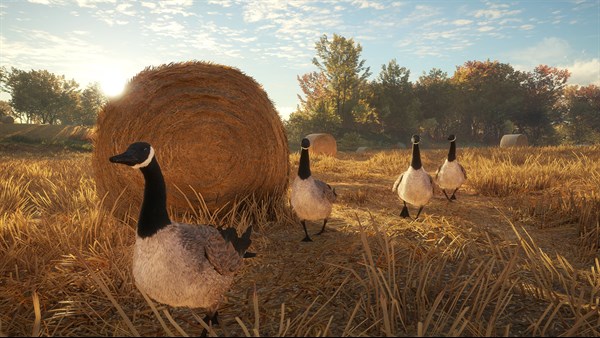 theHunter: Call of the Wild screenshot