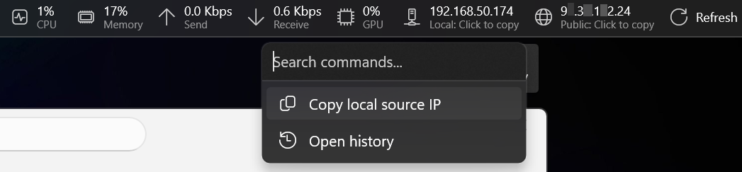 IP Display screenshot