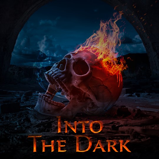 Into Dark cover art