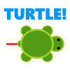 Turtle!