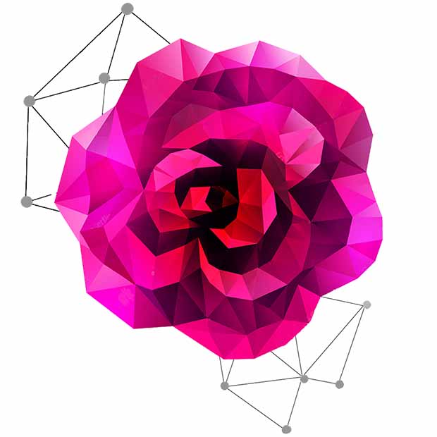 Flowers Poly Art - Color By Number