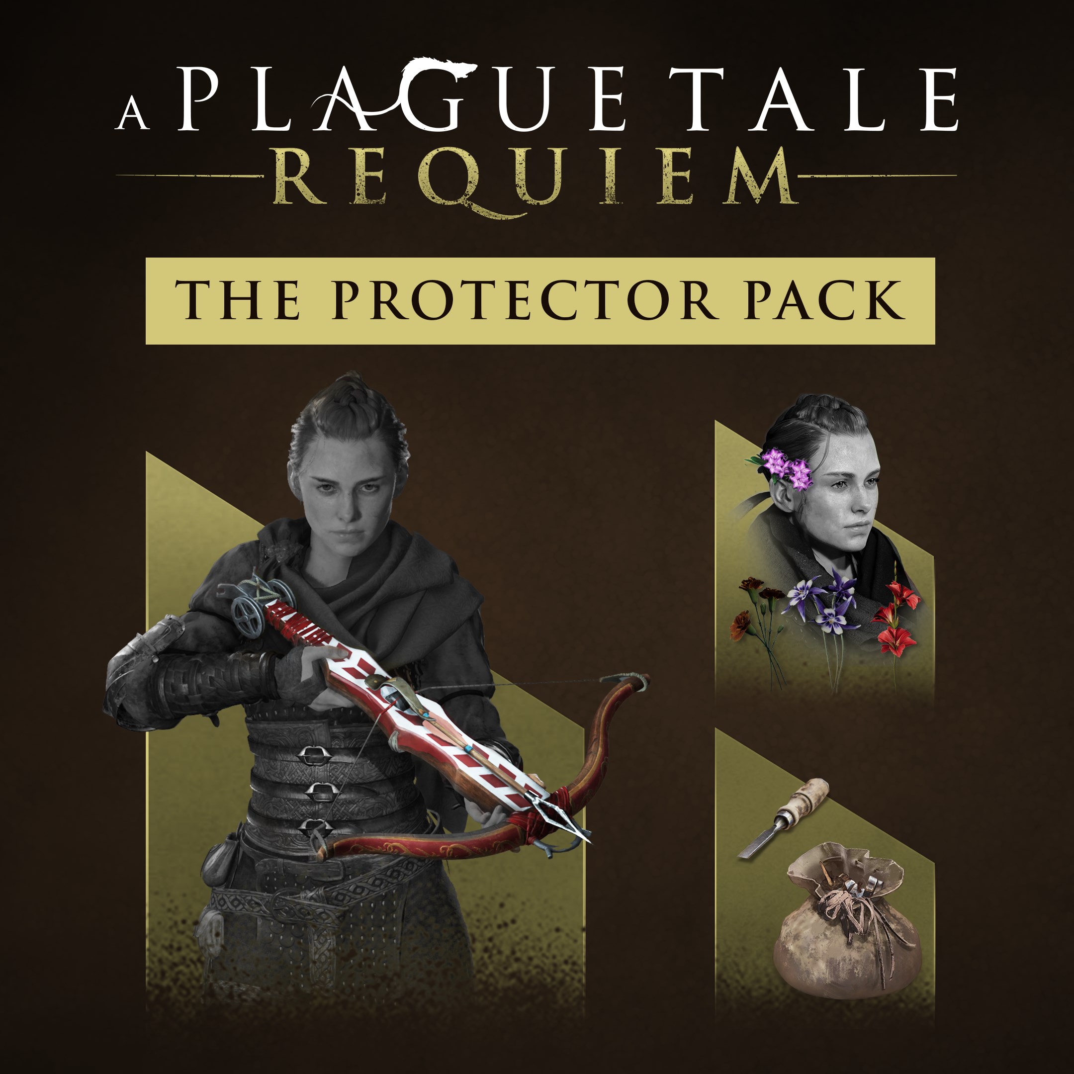 A Plague Tale: Requiem - Protector Pack (Windows)