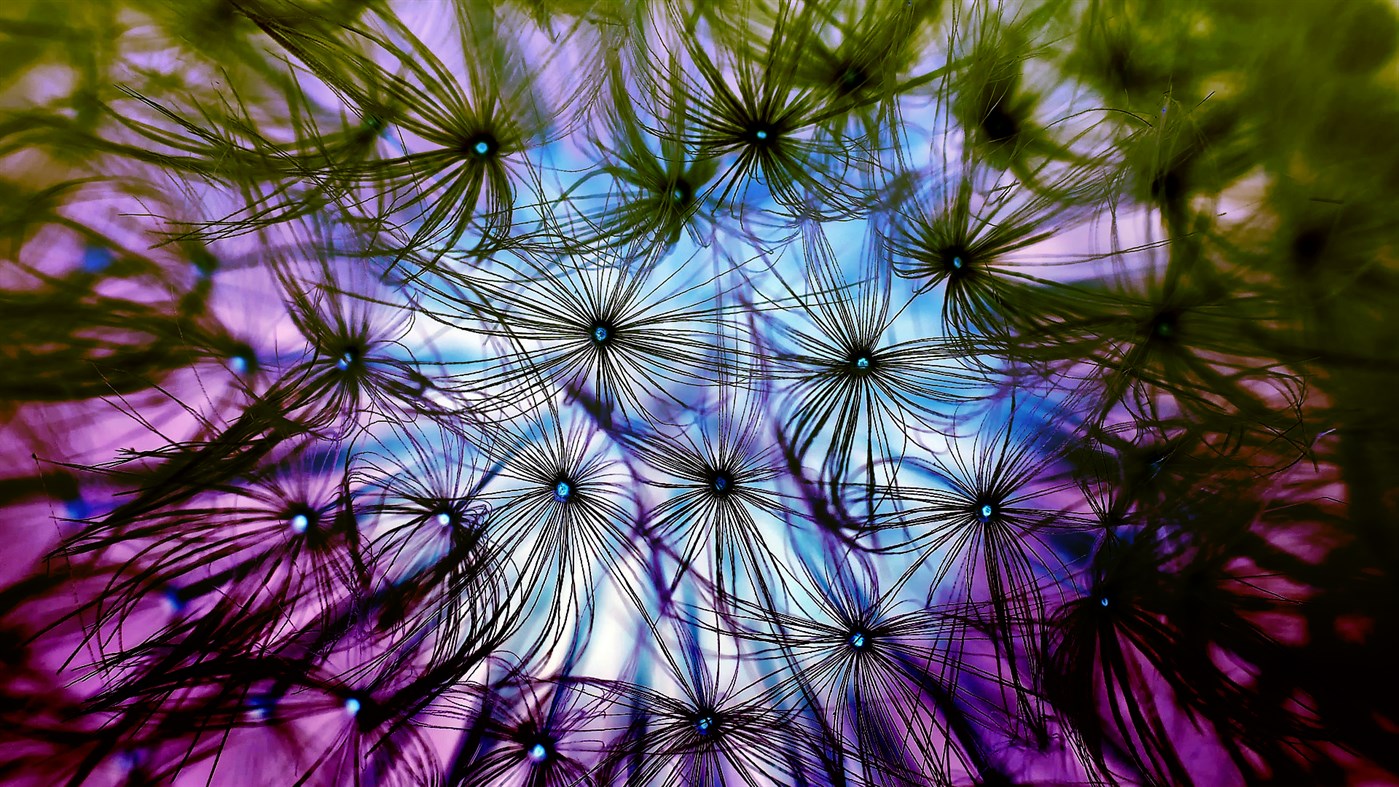 #5. Your Wpaps 3 (Windows) 由: peterolah