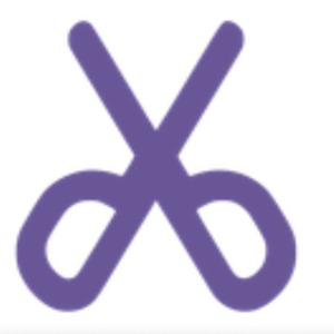 飞书转存专家 icon