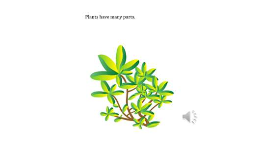 Plants! screenshot 3