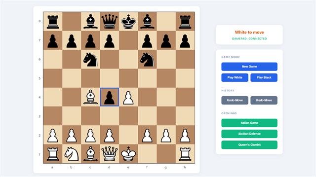 Chess Earth screenshot 3