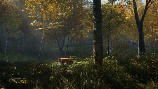 theHunter: Call of the Wild screenshot