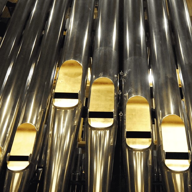Church Organ 10