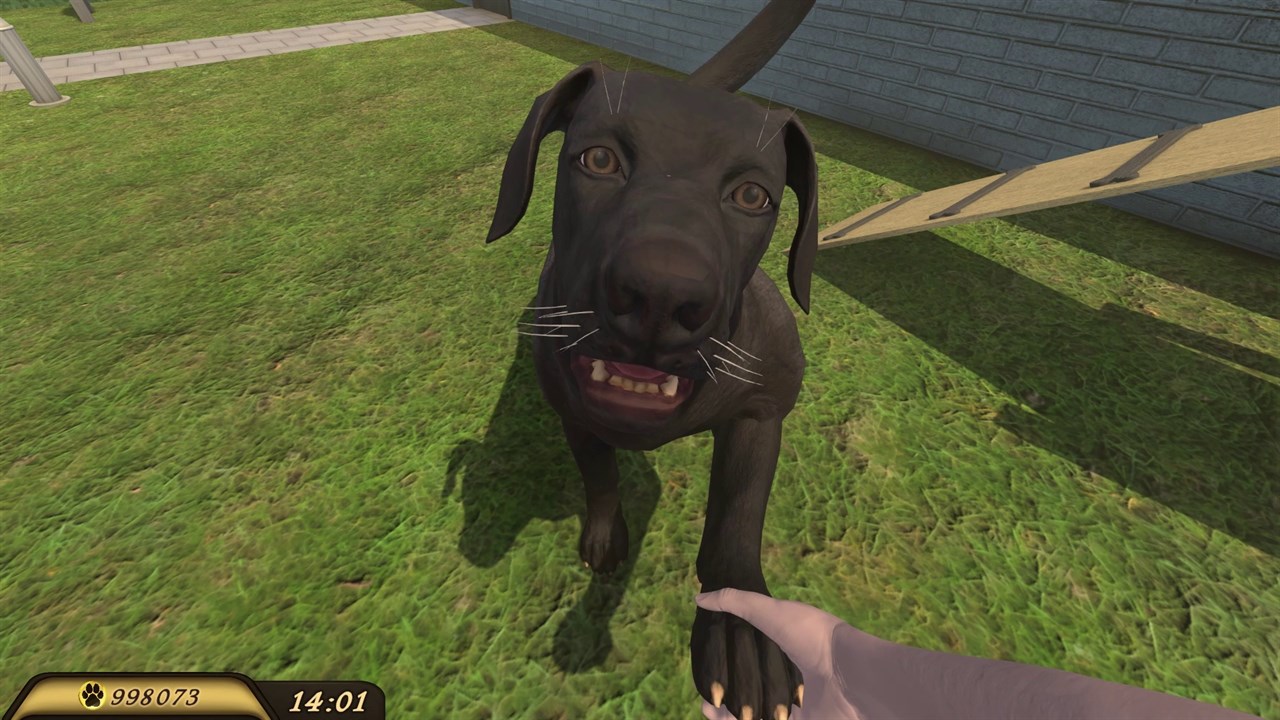 Pets Hotel screenshot 3
