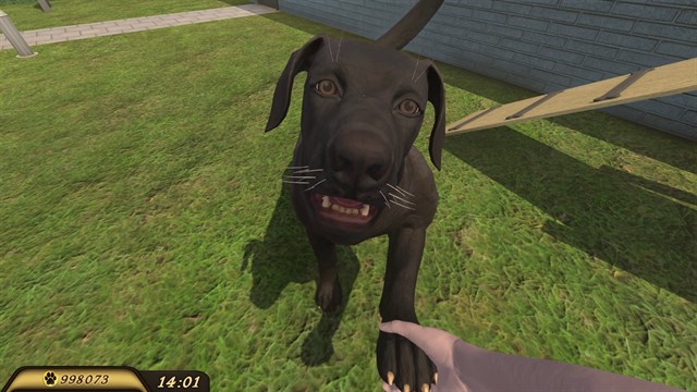 Pets Hotel screenshot 3
