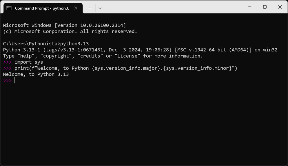 Python 3.13_1