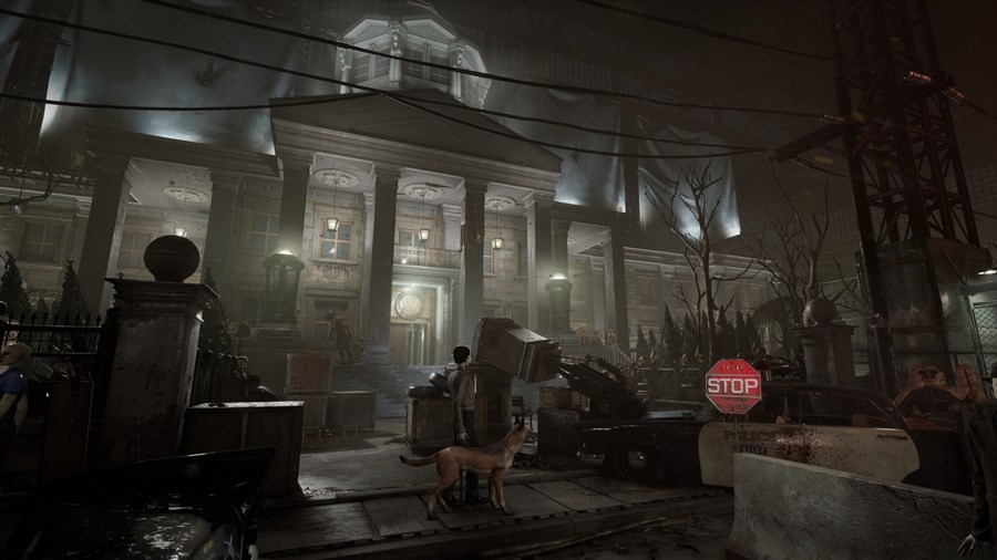 Full Size Image