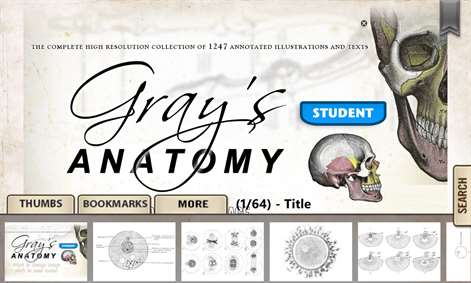 Grey's Anatomy Premium Screenshots 2