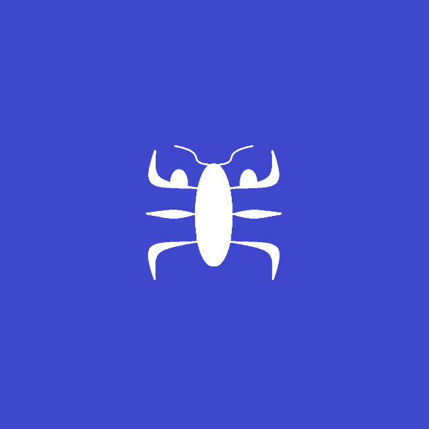 Workout Bug