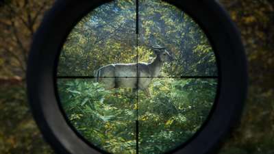 theHunter: Call of the Wild screenshot 2