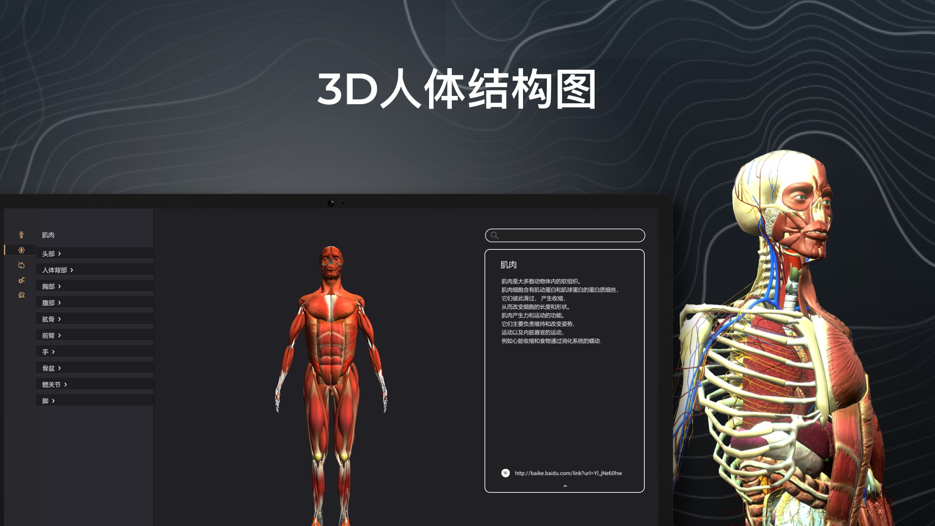 购买人体结构解剖图谱3d 器官 肌肉和骨骼三维可视化和详细解剖学图集 Microsoft Store Zh Cn