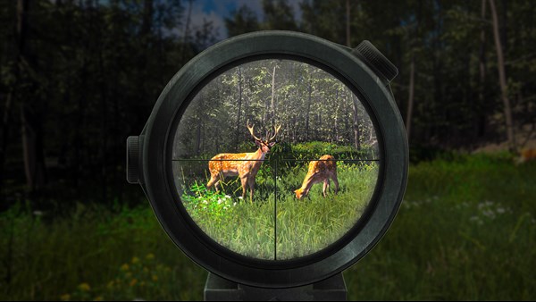 Wild Hunter: Sniper Rifle Adventures Simulator — 3