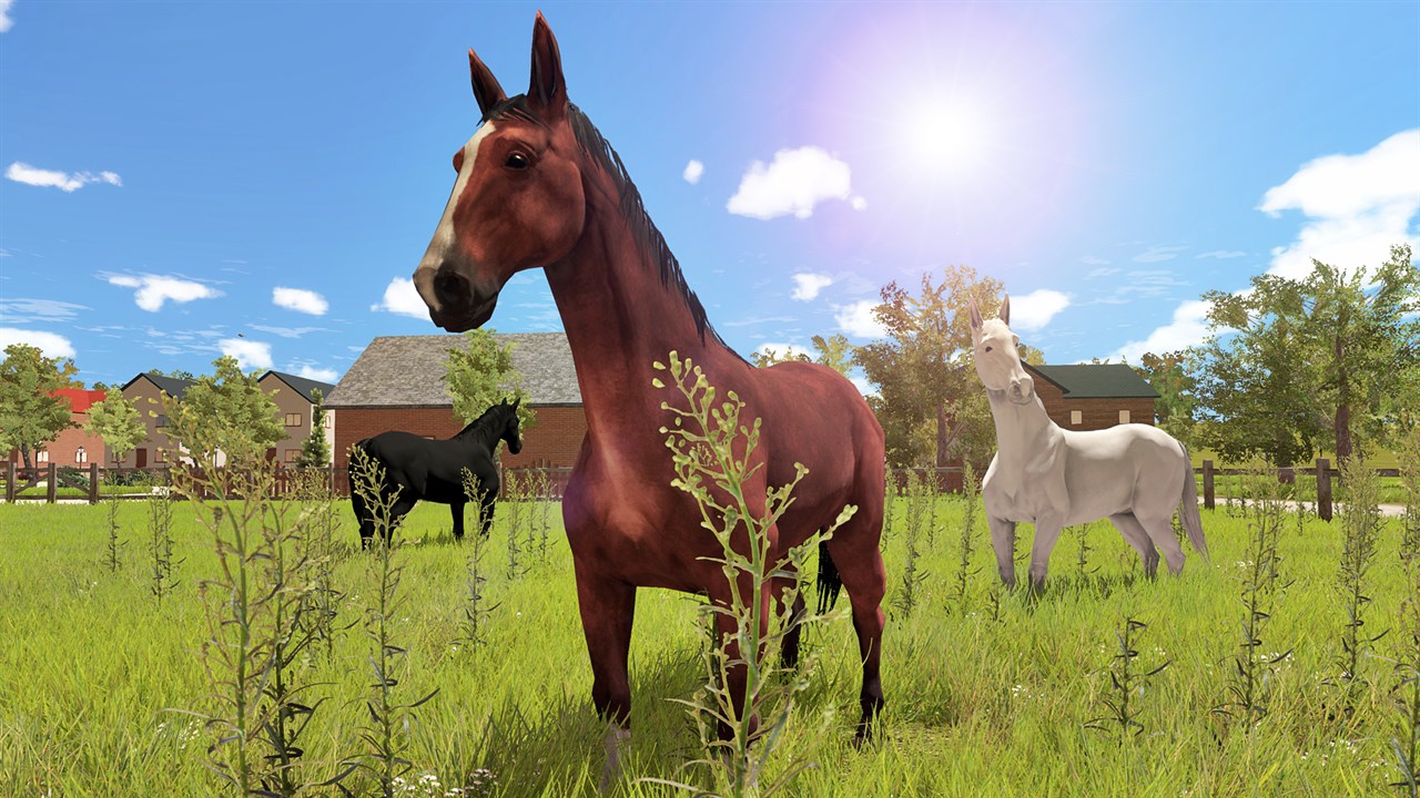 My Little Riding Champion screenshot 3