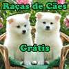 Raças de Cães - Grátis