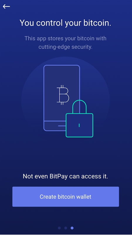 bitcoinstore bitpay